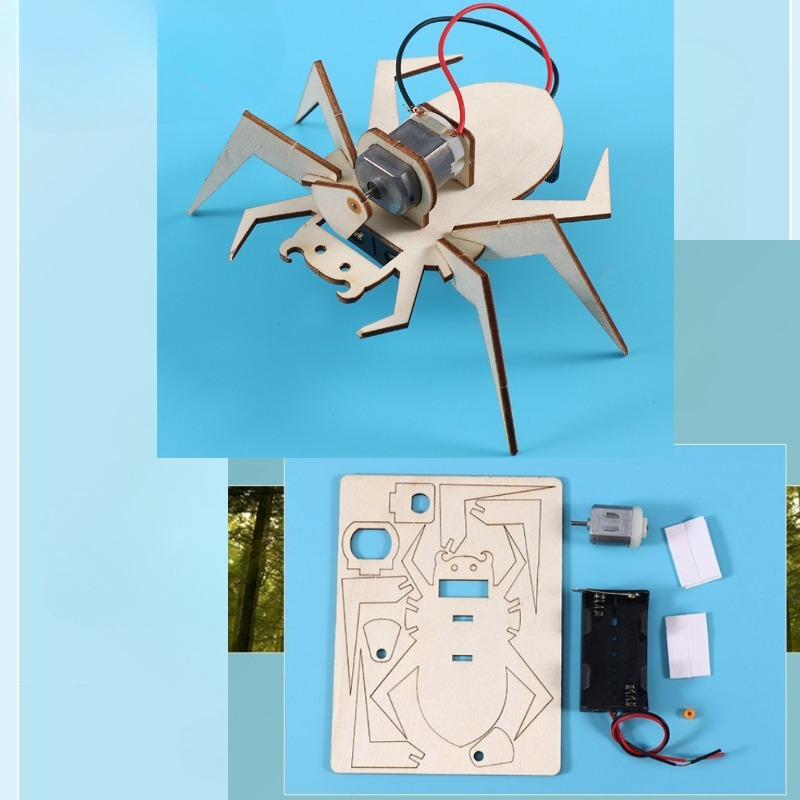 Spinnen 3D-Puzzle STEM Wissens – Art And Craft Science Bewertung und Preis